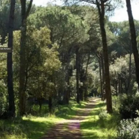 Casa Casella, Delizioso Bilocale A Due Passi Dal Mare *